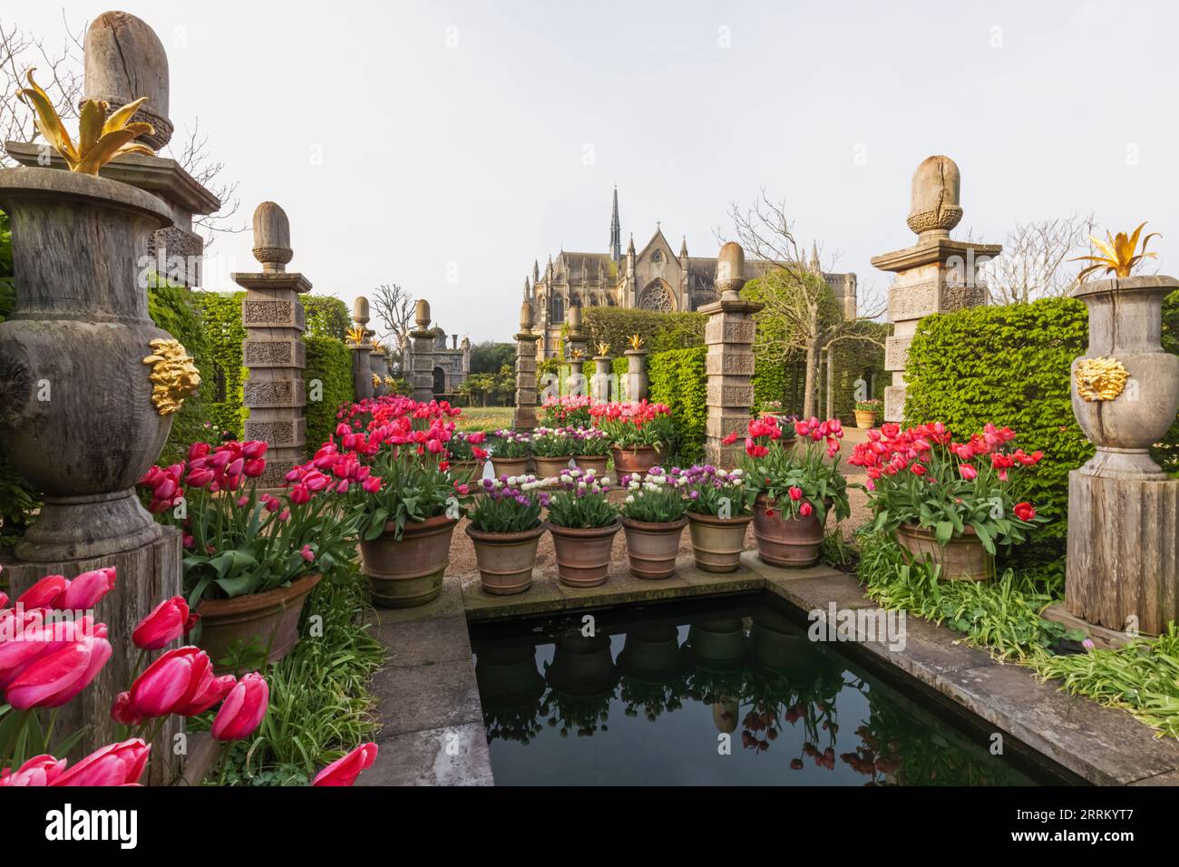 Angleterre, Sussex, West Sussex, Arundel, Château d'Arundel, Les jardins, l'eau et les fontaines avec des tulipes dans Bloom Banque D'Images