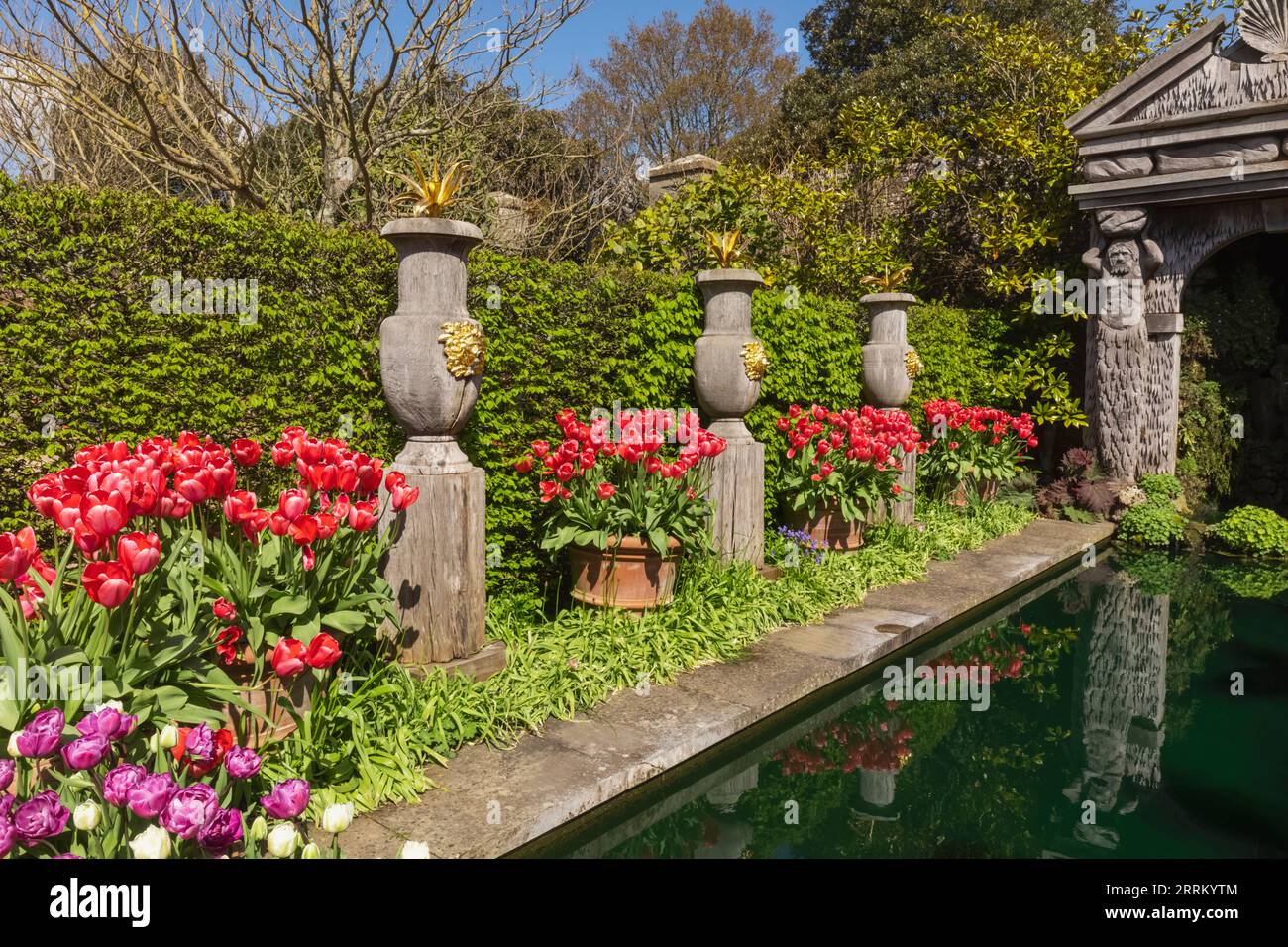 Angleterre, Sussex, West Sussex, Arundel, Château d'Arundel, Les jardins, l'eau et les fontaines avec des tulipes dans Bloom Banque D'Images