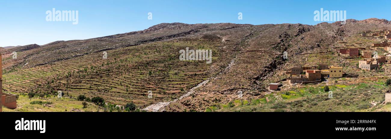 Grand paysage panoramique de culture de terrasse dans les montagnes anti-Atlas, région de Taourirt au Maroc Banque D'Images