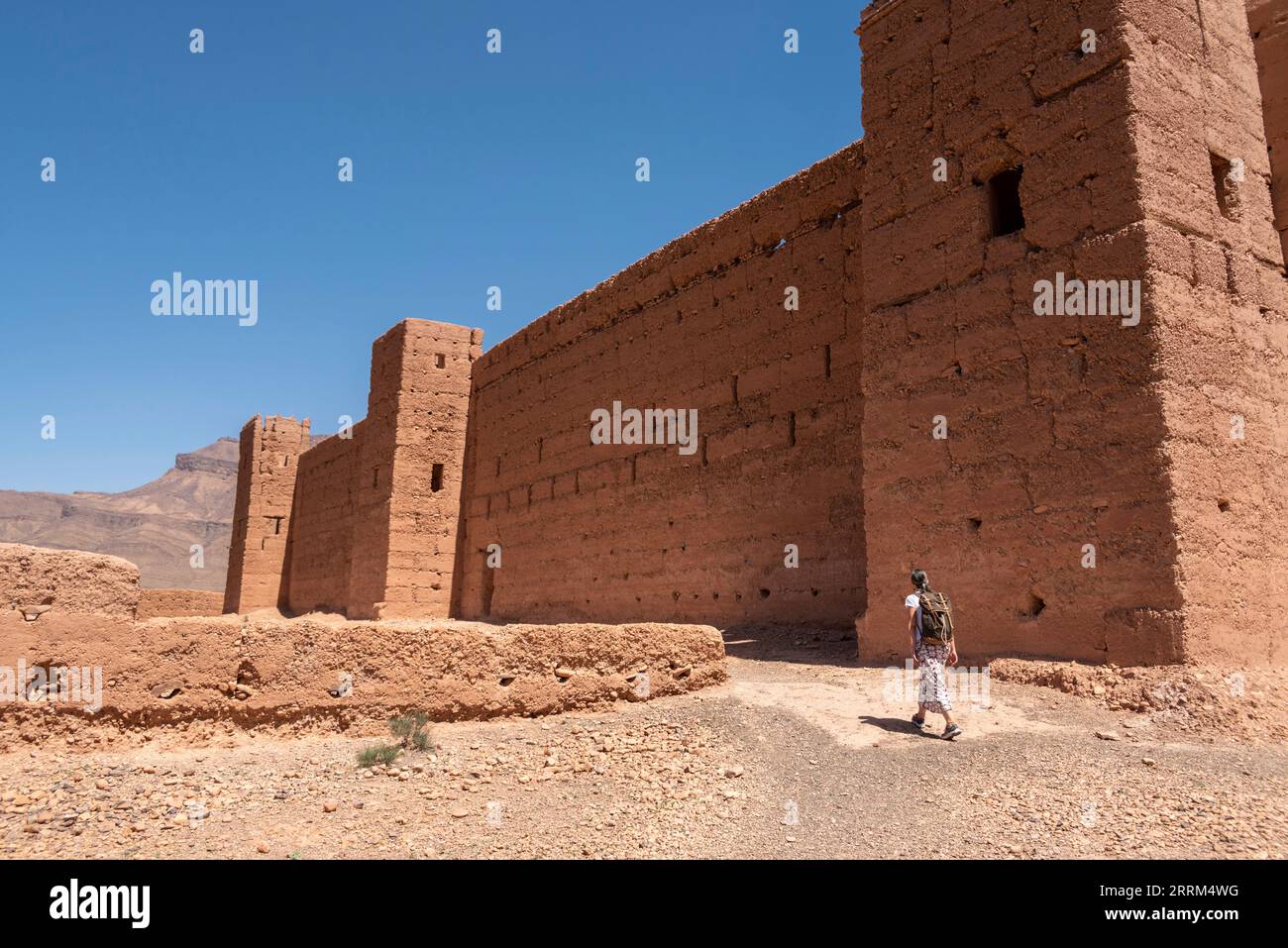 Magnifique château médiéval de Tamenougalt dans la vallée du Draa au Maroc Banque D'Images