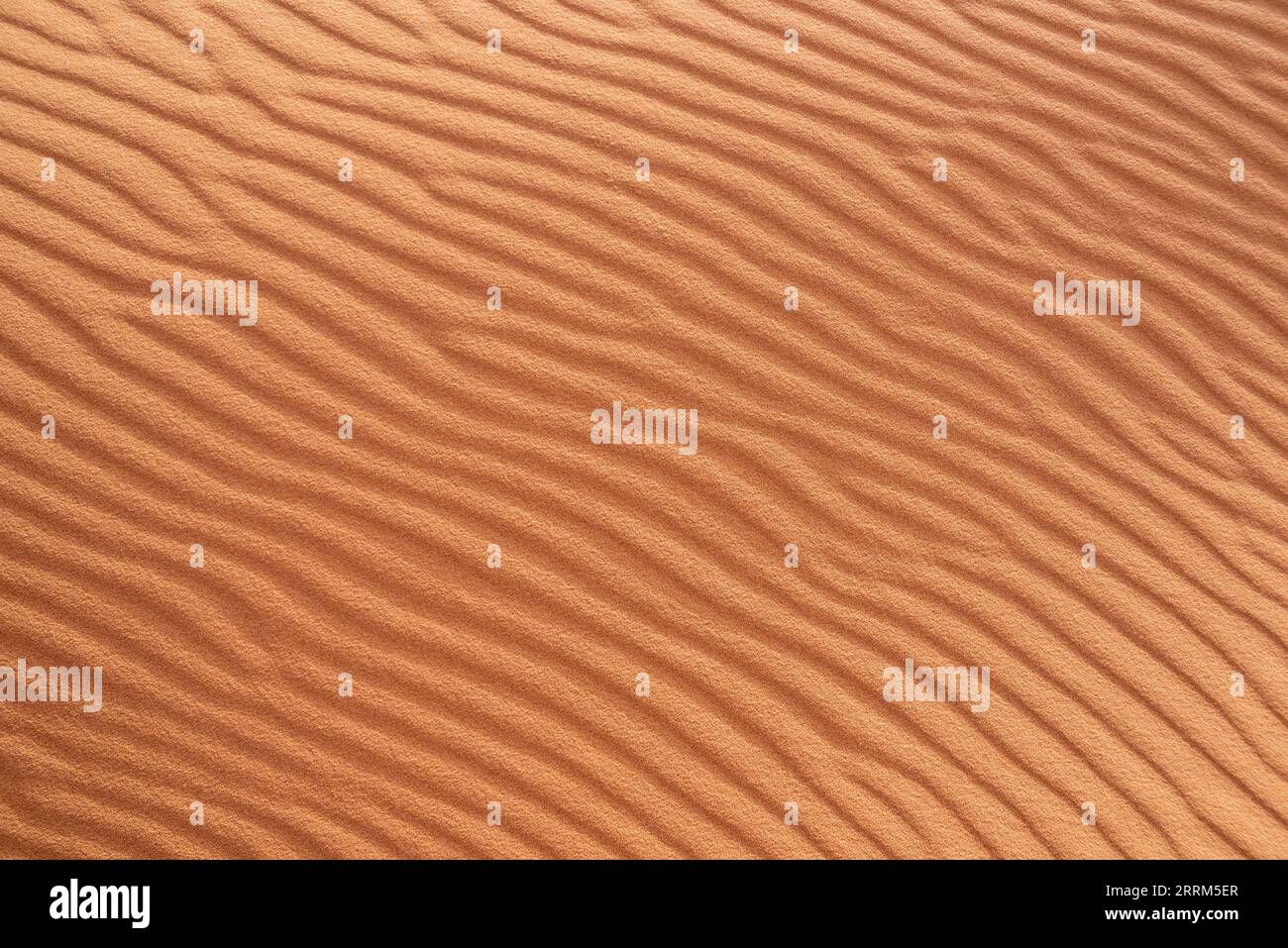 Motif de sable pittoresque sur une dune du désert, tiré du vent, Maroc Banque D'Images