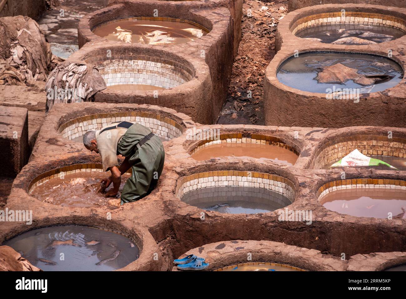 Fès, Maroc, célèbre tannerie dans la médina de Fès, où le cuir est transformé depuis des générations, Maroc Banque D'Images