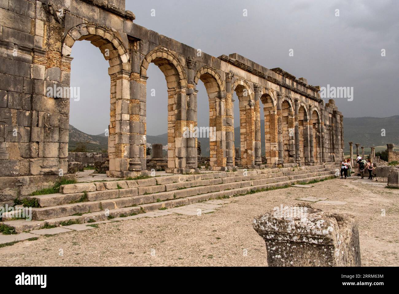 Les ruines emblématiques du forum à Volubilis, une ancienne ville romaine au Maroc, en Afrique du Nord Banque D'Images