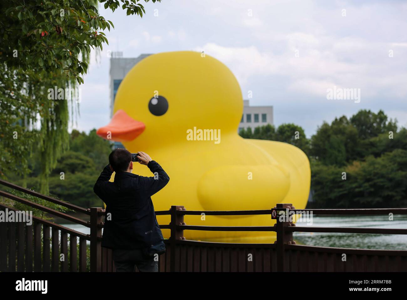 221006 -- SÉOUL, le 6 octobre 2022 -- Un homme prend une photo du canard en caoutchouc conçu par l'artiste néerlandais Florentijn Hofman sur le lac Seokchon à Séoul, Corée du Sud, le 6 octobre 2022. CORÉE DU SUD-SÉOUL-CANARD EN CAOUTCHOUC WangxYiliang PUBLICATIONxNOTxINxCHN Banque D'Images