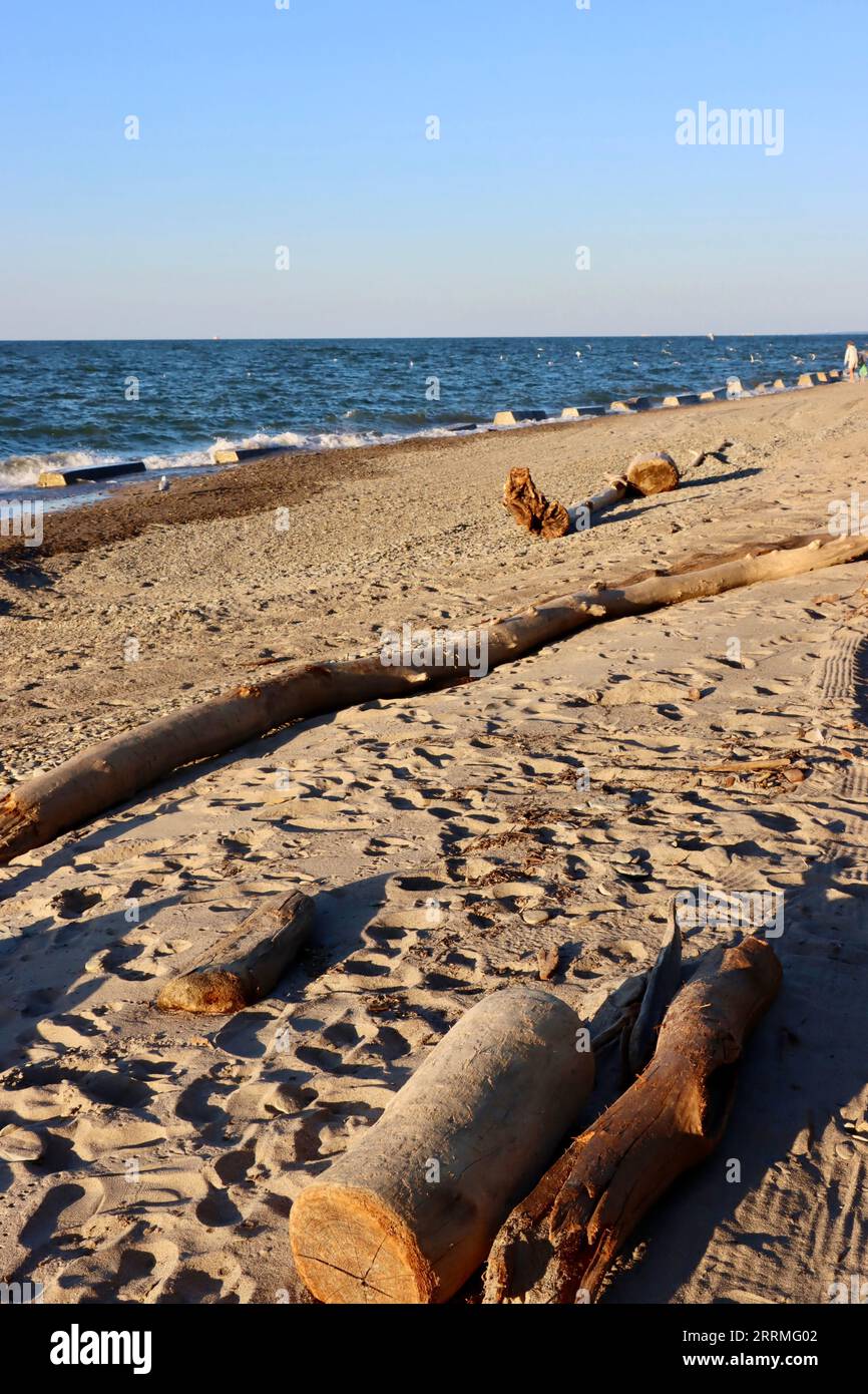 La plage de sable avec bois flotté au Clifton Beach Club à Lakewood, Ohio Banque D'Images