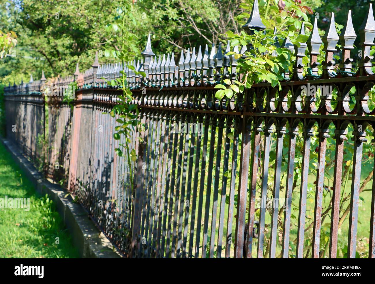 Vieille clôture en fer forgé le long de Lake Avenue en face d'un jardin privé à Lakewood, Ohio Banque D'Images