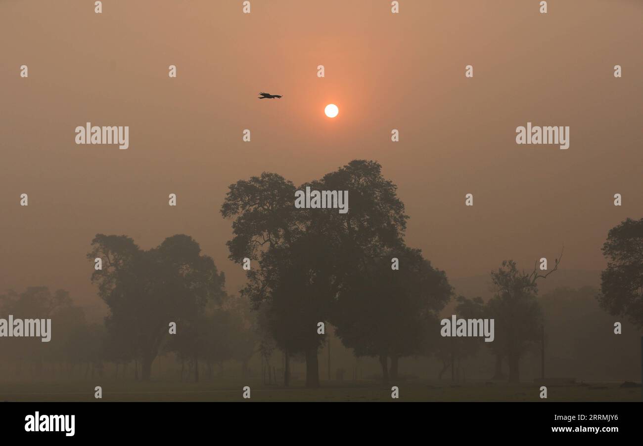 221103 -- NEW DELHI, le 3 novembre 2022 -- Un oiseau vole au milieu d'un épais smog à New Delhi, en Inde, le 3 novembre 2022. La pollution de l air dans la capitale de l Inde Delhi et ses environs continue d être un problème. Le problème se pose principalement pendant les mois d'hiver, lorsque la densité de l'air diminue comparativement. INDE-NOUVEAU DELHI-POLLUTION DE L'AIR-SMOG JAVEDXDAR PUBLICATIONXNOTXINXCHN Banque D'Images