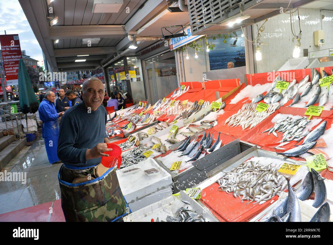 221103 -- ANKARA, le 3 novembre 2022 -- Un vendeur de poisson travaille sur un marché à Ankara, Trkiye, le 3 novembre 2022. L inflation annuelle de Trkiye a bondi à 85,51 pour cent en octobre, le plus haut en 24 ans, a annoncé jeudi l Institut turc de statistique. Photo de /Xinhua TRKIYE-ANKARA-INFLATION MustafaxKaya PUBLICATIONxNOTxINxCHN Banque D'Images