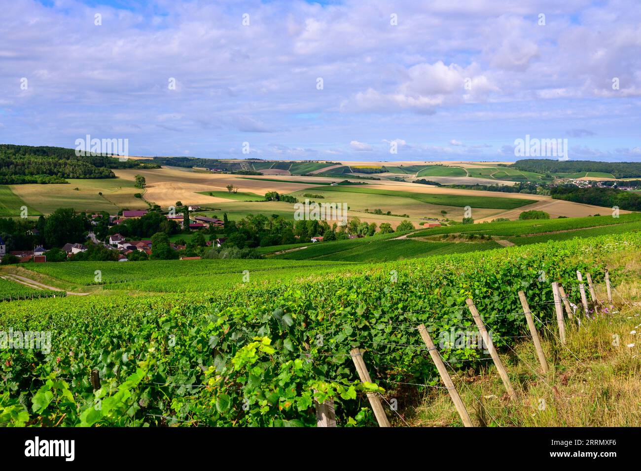 Collines avec vignes à Urville, vignobles de champagne à Côte des Bar, Aube, sud de Champange, France Banque D'Images