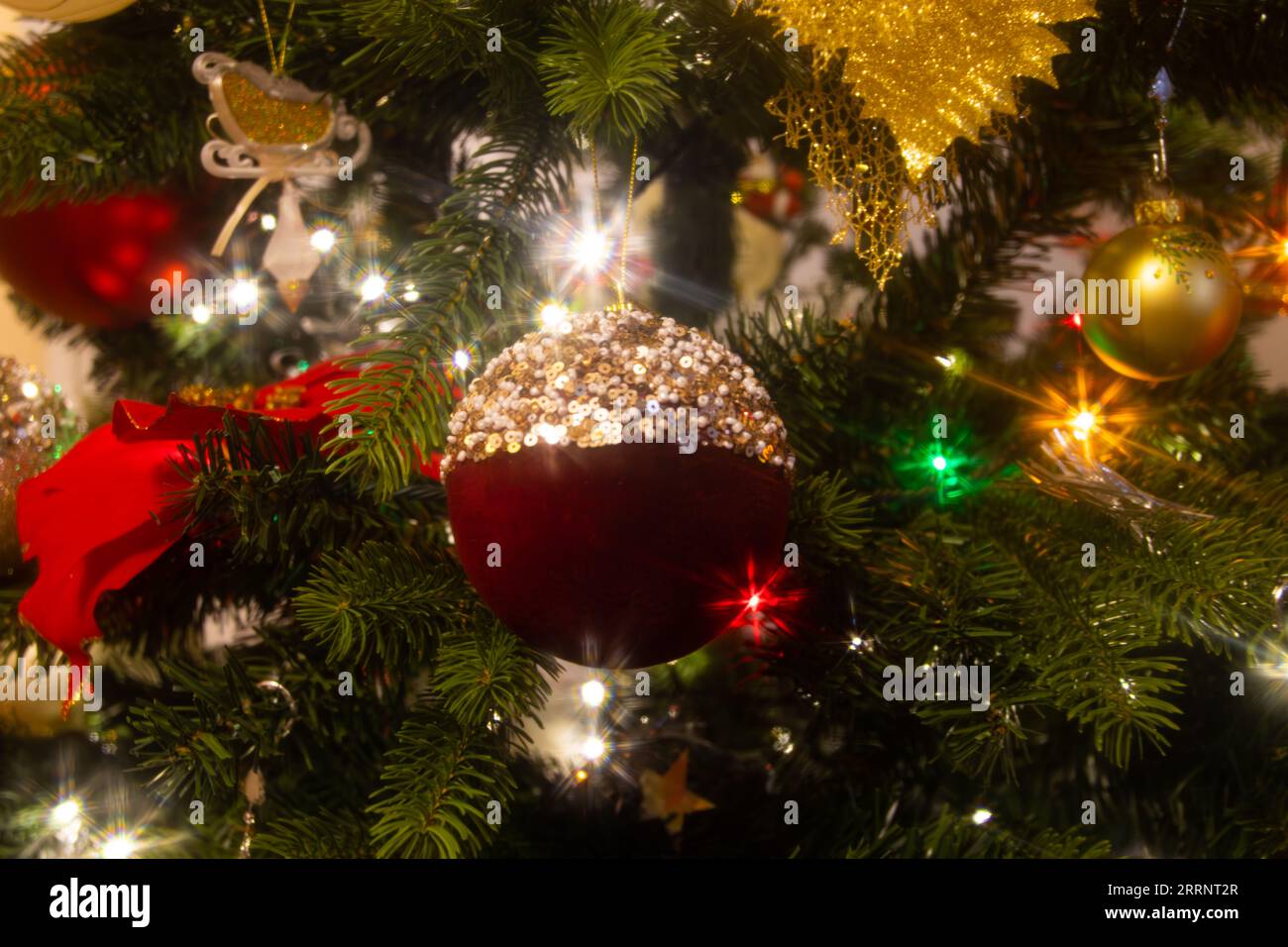 Ornements de Noël dans le sapin de Noël Banque D'Images