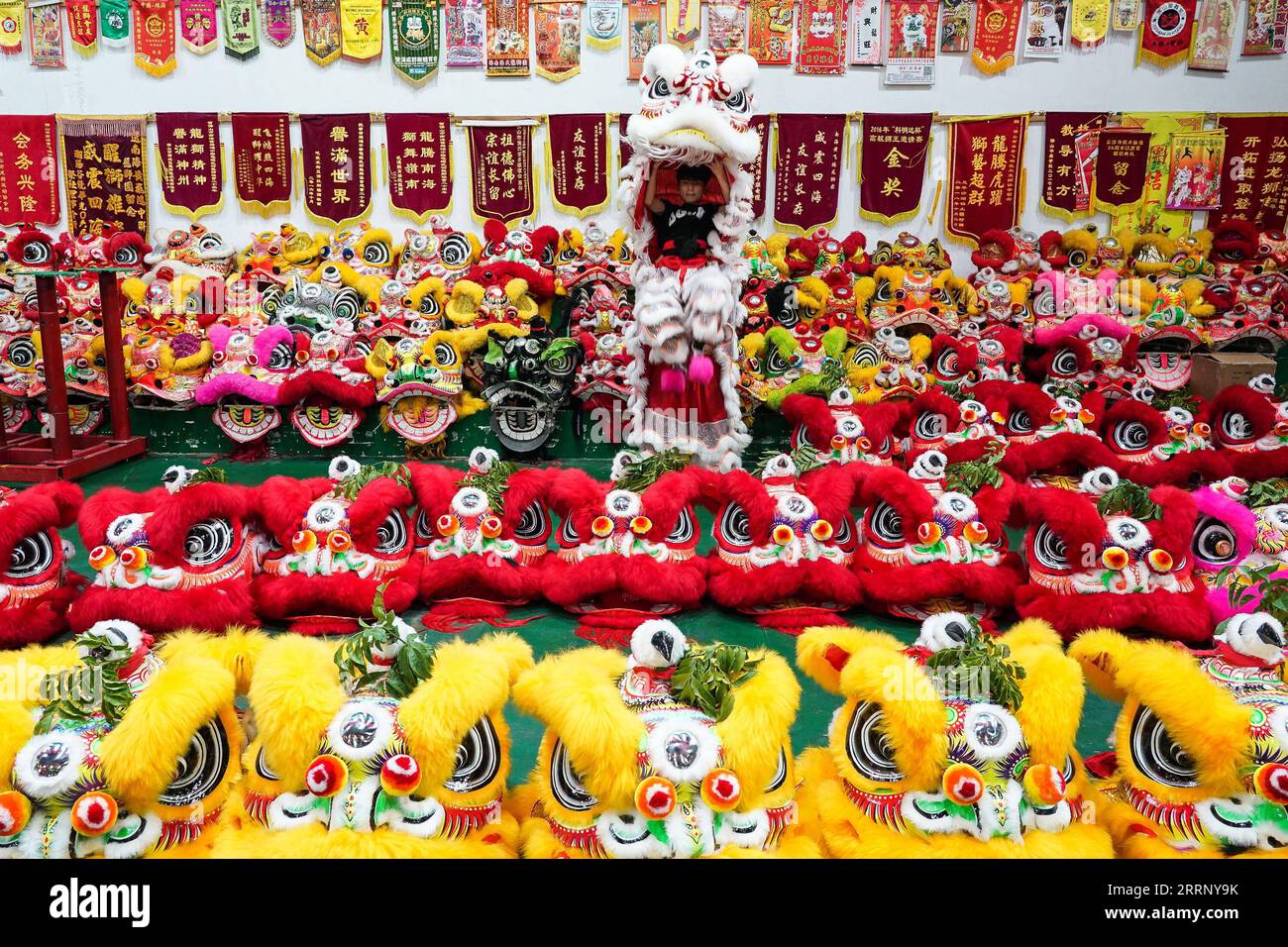 230206 -- FOSHAN, le 6 février 2023 -- les danseuses du lion du Guangdong s'entraînent dans une base d'entraînement à Foshan, dans la province du Guangdong, dans le sud de la Chine, le 13 janvier 2023. La danse du lion du Guangdong, inscrite au patrimoine culturel immatériel national en 2006, est une combinaison d'arts martiaux, de danse et de musique. Il provient de la danse royale du lion pendant la dynastie Tang en 618-907 et a ensuite été introduit au sud par des migrants du nord. La danse du lion du Guangdong s'est développée dans sa forme moderne pendant la dynastie Ming 1368-1644. Dans la tradition chinoise, les gens considèrent le lion comme un symbole de bravoure et de streng Banque D'Images