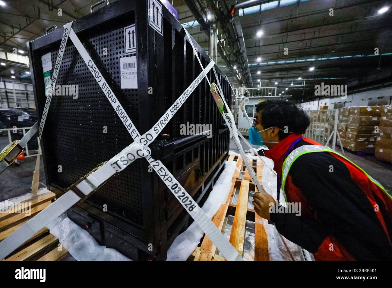 230221 -- CHENGDU, le 21 février 2023 -- Un vétérinaire examine le panda géant Xiang Xiang né au Japon à l'aéroport international de Chengdu Shuangliu dans la province du Sichuan du sud-ouest de la Chine, le 21 février 2022. Le panda géant femelle Xiang Xiang a quitté mardi matin le zoo d'Ueno à Tokyo au Japon pour retourner en Chine, son pays d'origine. Xiang Xiang est né au zoo d'Ueno en juin 2017 de Shin Shin femelle et RI RI mâle, deux pandas géants prêtés par la Chine, où la propriété sur les petits auxquels ils donnent naissance appartient. Maintenant âgé de cinq ans et huit mois, le panda a atteint sa maturité de reproduction. Considérant le fut Banque D'Images