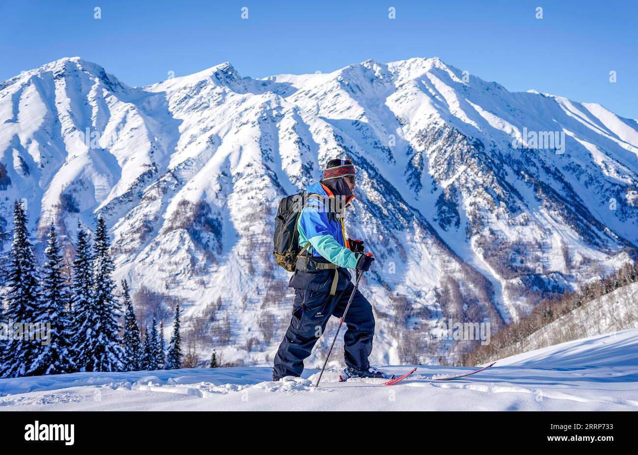 230226 -- URUMQI, 26 février 2023 -- Peng Chao fait des randonnées à Altay, dans la région autonome ouïgoure du Xinjiang, au nord-ouest de la Chine, le 26 janvier 2023. Grâce à ses conditions de neige de haute qualité, le Xinjiang, dans le nord-ouest de la Chine, a construit un certain nombre de stations de ski de haut niveau et est devenu un nouveau haut lieu pour les sports d'hiver. La saison des neiges à Altay, située dans la partie la plus septentrionale du Xinjiang, peut durer jusqu’à sept mois, ce qui en fait un paradis pour les amateurs de sports d’hiver. Au début de la saison des neiges en 2021, le skieur Peng Chao basé à Pékin louait une cabine dans le village de Hemu dans la montagne Altay comme poste de travail FO Banque D'Images