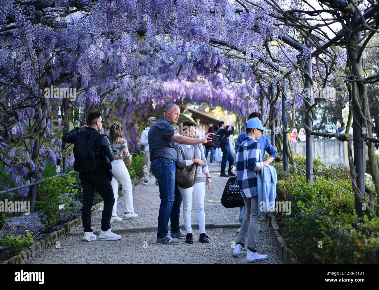 230424 -- FLORENCE ITALIE, 24 avril 2023 -- les gens passent du temps sous les fleurs de la Wisteria à la Villa Bardini à Florence, Italie, le 24 avril 2023. ITALIE-FLORENCE-WISTERIA-BLOOM JinxMamengni PUBLICATIONxNOTxINxCHN Banque D'Images