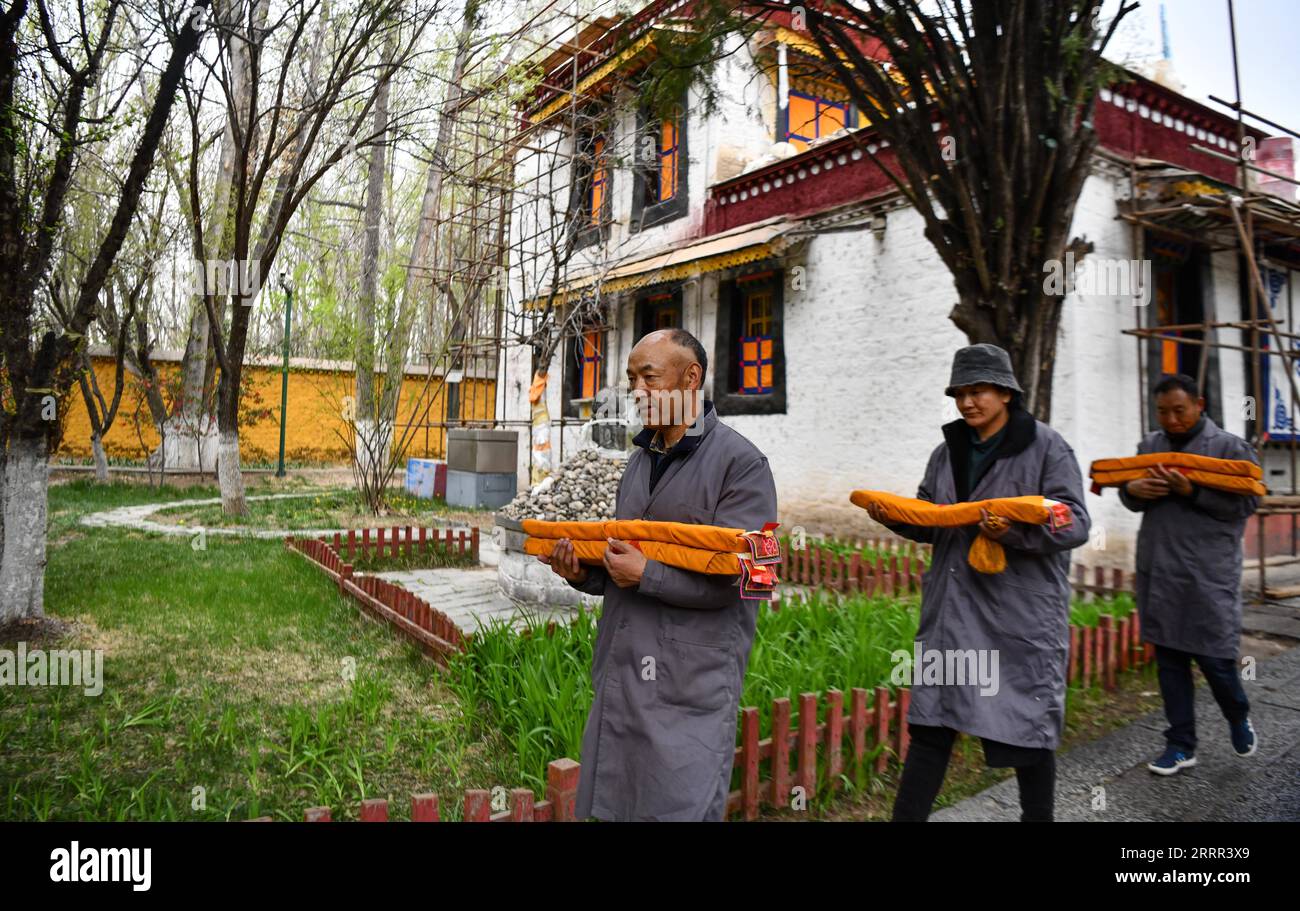 230430 -- LHASSA, 30 avril 2023 -- Gyumey Tsultrim 1st L et ses collègues collectent des livres anciens avant d en faire l inventaire à Lhassa, dans la région autonome du Tibet du sud-ouest de la Chine, le 19 avril 2023. Au palais de la Truzing de Norbulingka dans la banlieue ouest de Lhassa, des milliers de livres anciens sur divers champs du Tibet sont stockés sur des étagères. Pour l'instant, Gyumey Tsultrim et ses collègues ont pour tâche principale de faire un inventaire des livres anciens à la fois manuellement et numériquement. Gyumey Tsultrim est né en 1967 dans le comté de Chanang dans le Shannan. En 1986, alors que des experts de l'Académie des sciences sociales de Banque D'Images