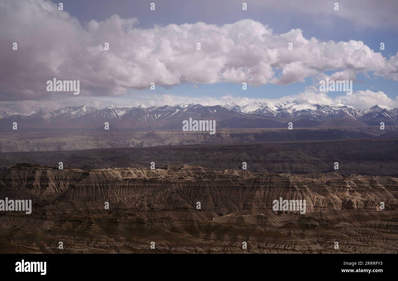 230527 -- LHASSA, 27 mai 2023 -- cette photo prise le 25 mai 2023 montre le paysage de forêt terrestre dans le comté de Zanda, dans la région autonome du Tibet du sud-ouest de la Chine. Zanda est célèbre pour le paysage unique de la forêt terrestre, qui a été formé par le mouvement géologique et l'érosion du sol. Ces forêts semblent jaunâtres, mais la couleur varie dans différentes parties. CHINE-TIBET-ZANDA-TERRE FORÊT-PAYSAGE CN FEIXMAOHUA PUBLICATIONXNOTXINXCHN Banque D'Images