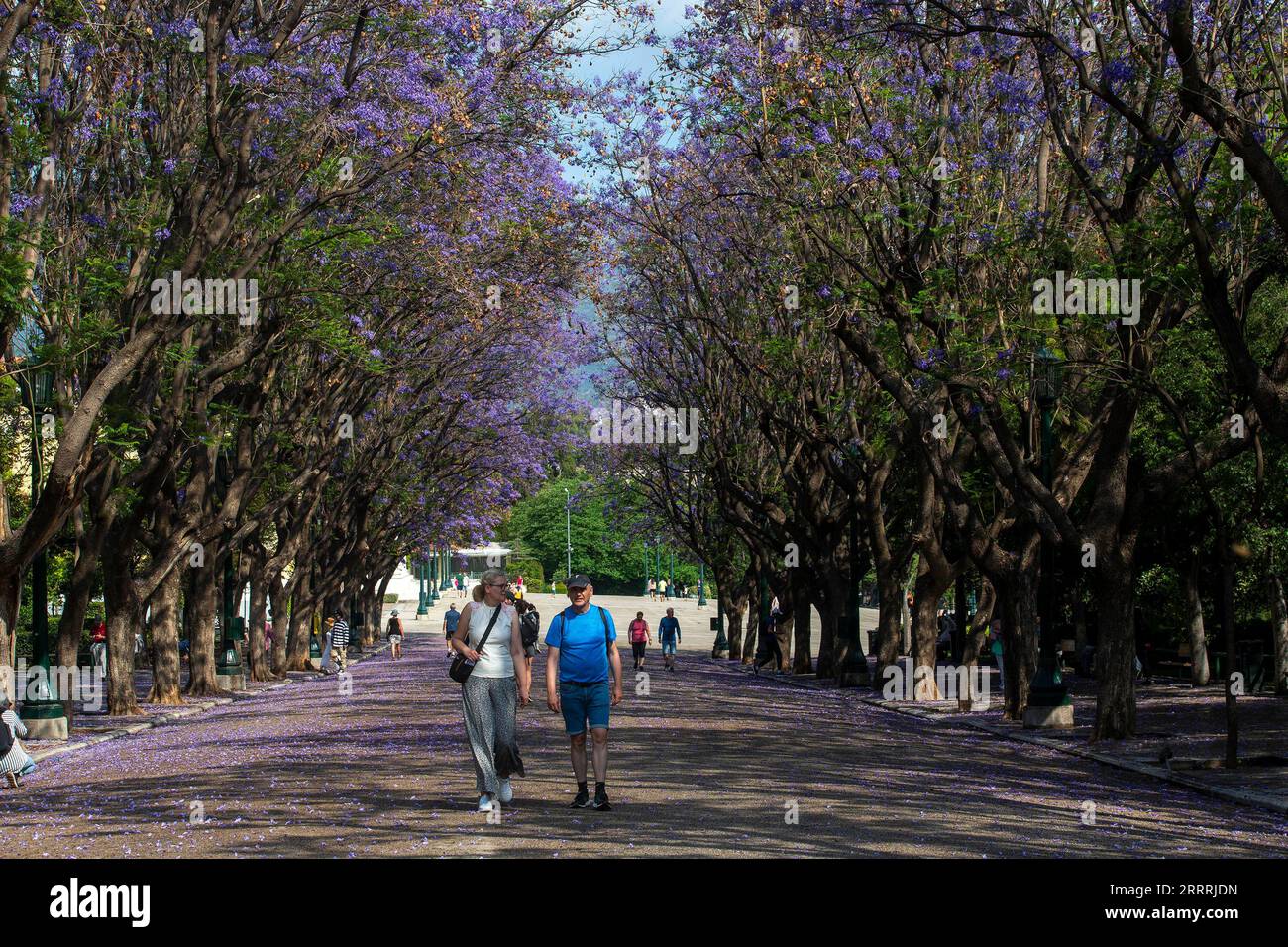 230531 -- ATHÈNES, le 31 mai 2023 -- les gens se promènent à l'ombre des jacaranda près de Zappeion Mansion à Athènes, Grèce, le 30 mai 2023. GRÈCE-ATHÈNES-JACARANDA-BLOSSOM MariosxLolos PUBLICATIONxNOTxINxCHN Banque D'Images