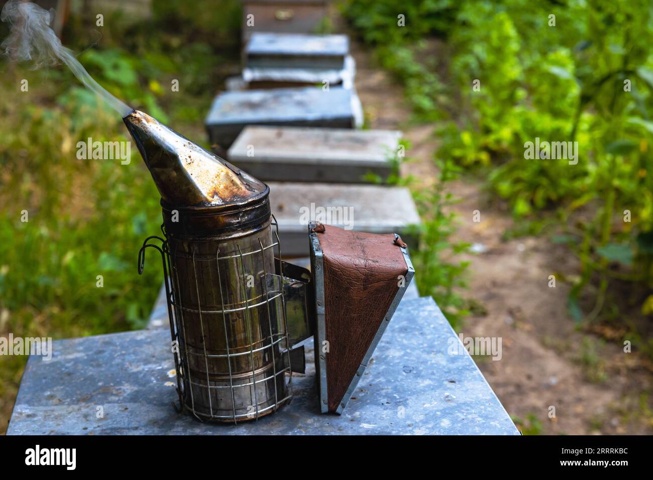 Photo de fond des outils apicoles. Fumoir d'abeilles et ruches. Photo de fond apicole ou apicole. Banque D'Images