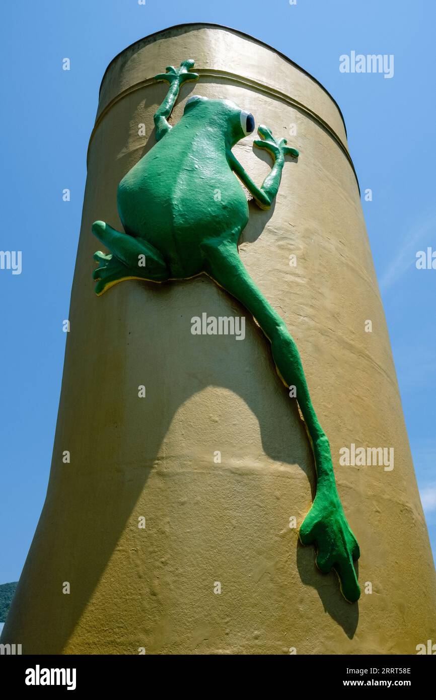 Une grenouille géante grimpant sur le Golden Gumboot - un monument célèbre à Tully, Queensland, Australie Banque D'Images