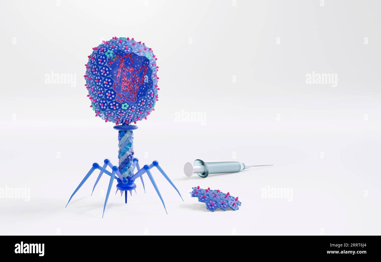 Phage Therapy, illustration conceptuelle Banque D'Images