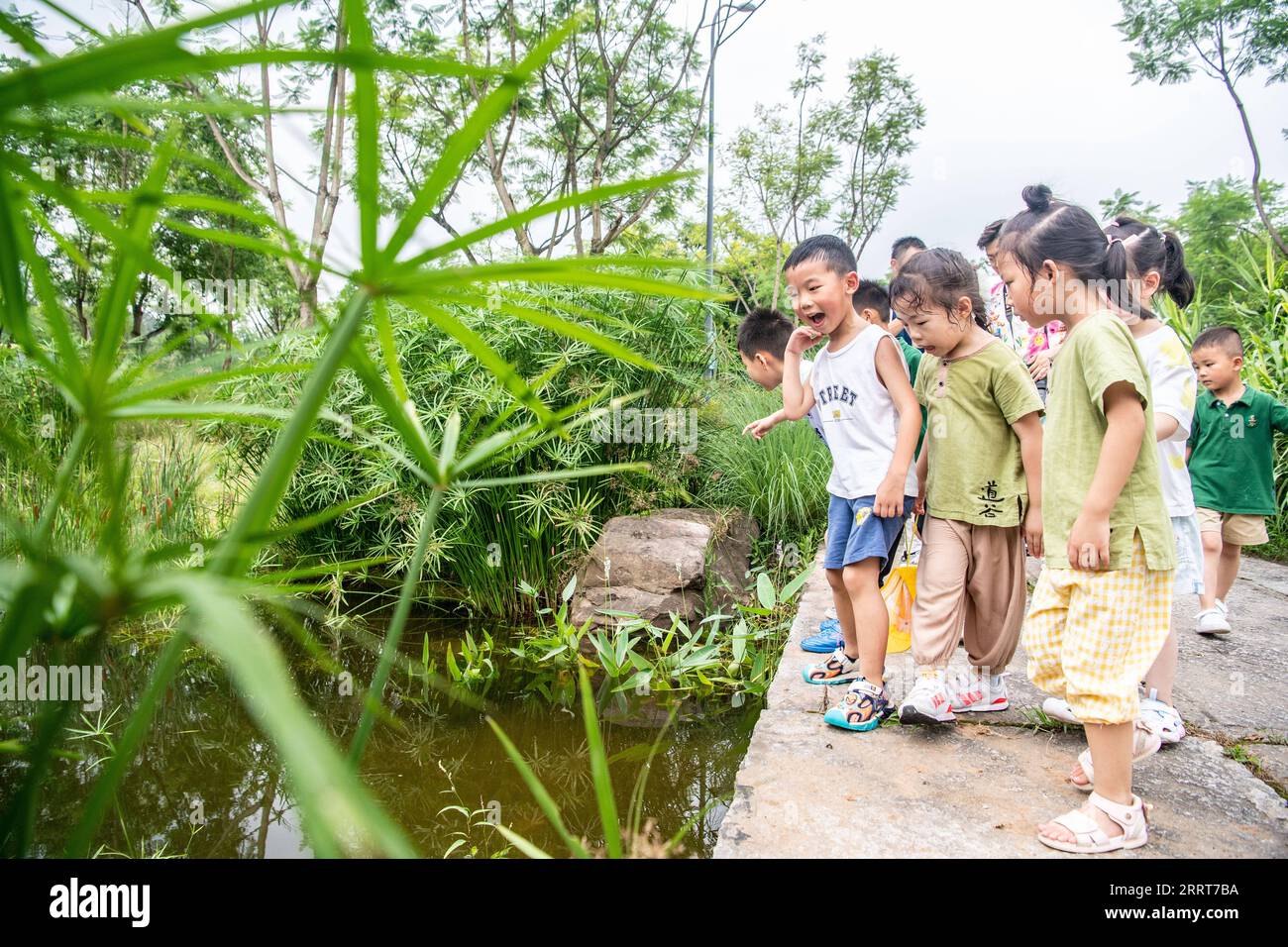 230704 -- CHONGQING, le 4 juillet 2023 -- les enfants apprennent à identifier les organismes aquatiques lors d'une tournée d'éducation écologique sur l'île de Guangyang, dans le sud-ouest de la Chine, Chongqing, le 3 juillet 2023. Située sur l'île verte la plus étendue dans le cours supérieur du fleuve Yangzi Jiang, l'île de Guangyang, couvrant environ 10 km2, a un taux de couverture végétale de plus de 90 pour cent, et 594 espèces de plantes et 452 espèces d'animaux ont été enregistrées. Mais son système écologique et sa biodiversité ont été gravement endommagés par un certain nombre de projets immobiliers agressifs qui avaient duré des années. En 2017, le commer Banque D'Images