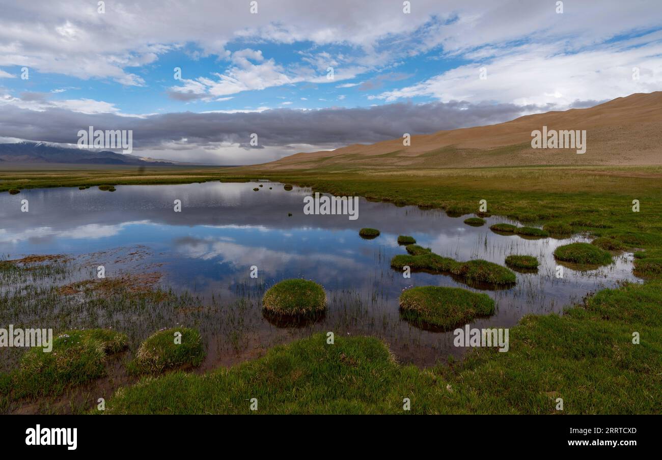 230717 -- MONTAGNES DE L'ALTUN, 17 juillet 2023 -- cette photo prise le 1 juillet 2023 montre une zone humide dans la Réserve naturelle nationale des montagnes de l'Altun, dans la région autonome ouïgoure du Xinjiang, au nord-ouest de la Chine. Avec une altitude moyenne de 4 580 mètres, la Réserve naturelle nationale des montagnes Altun couvre une superficie totale de 45 000 kilomètres carrés et est un représentant de l'écosystème désertique du plateau en Chine. SKYEYECHINA-XINJIANG-ALTUN MONTAGNES-RÉSERVE NATURELLE CN CAIXYANG PUBLICATIONXNOTXINXCHN Banque D'Images