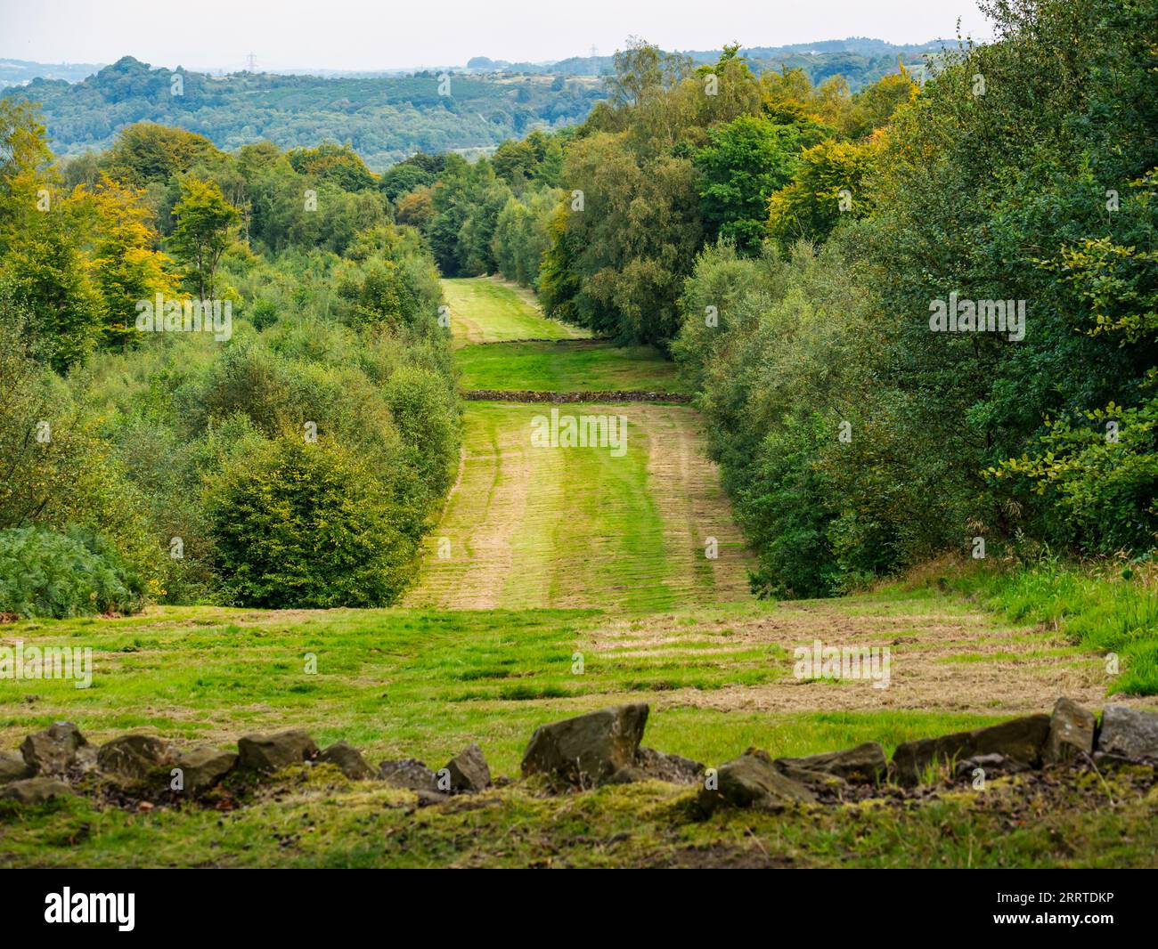Vue le long de l'ancienne voie militaire romaine près d'Antonine Wall, Bar Hill, East Dunbartonshire, Écosse, Royaume-Uni Banque D'Images