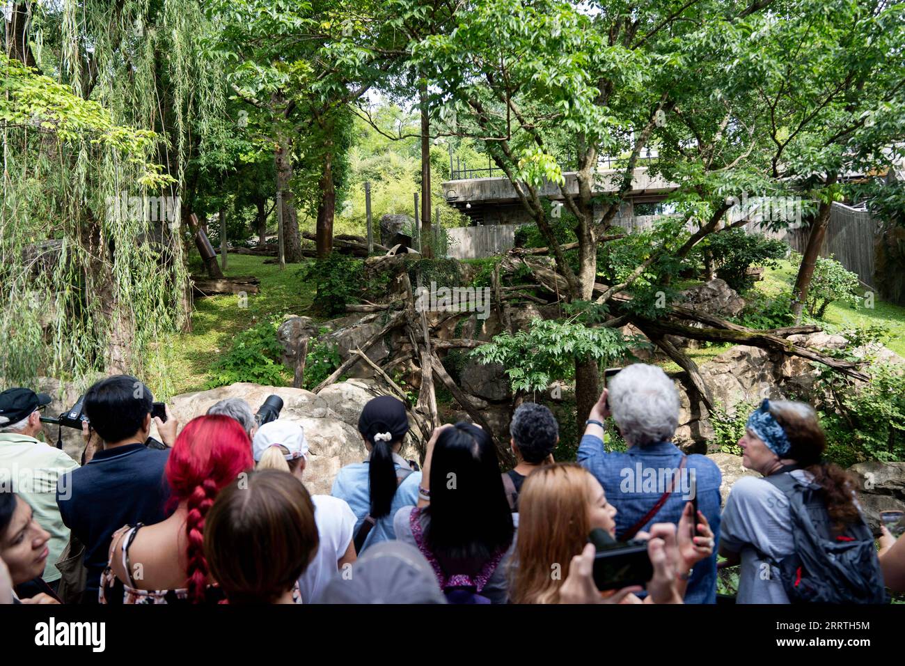 230723 -- WASHINGTON, D.C., 23 juillet 2023 -- les visiteurs regardent le panda géant Mei Xiang déguster un gâteau de glace au zoo national Smithsonian à Washington, D.C., États-Unis, le 22 juillet 2023. Le panda géant Mei Xiang a célébré son 25e anniversaire ici samedi. Le zoo a organisé une fête spéciale pour célébrer l'occasion avec ses fans. ÉTATS-UNIS-WASHINGTON, DC-GÉANT PANDA MEI XIANG-ANNIVERSAIRE LIUXJIE PUBLICATIONXNOTXINXCHN Banque D'Images