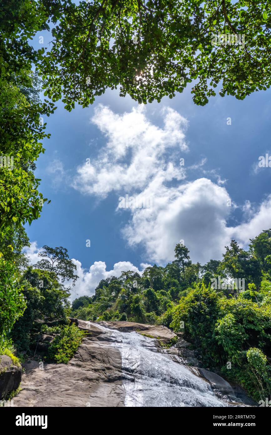 Wayanad est un district rural de l'État du Kerala, au sud-ouest de l'Inde. Banque D'Images