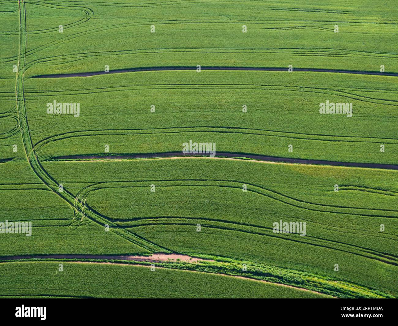 Vue aérienne abstraite d'un champ ou d'une ferme dans la province du Cap occidental en Afrique du Sud. Banque D'Images