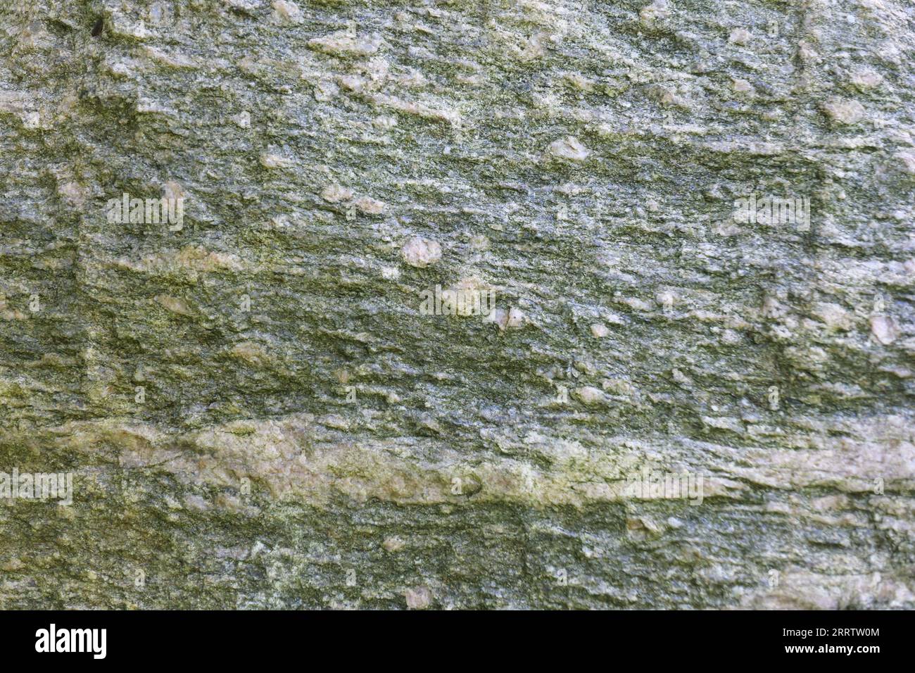 Surface et texture d'un granit glaciaire erratique sur la côte de la mer Baltique de l'île de Rügen. Banque D'Images