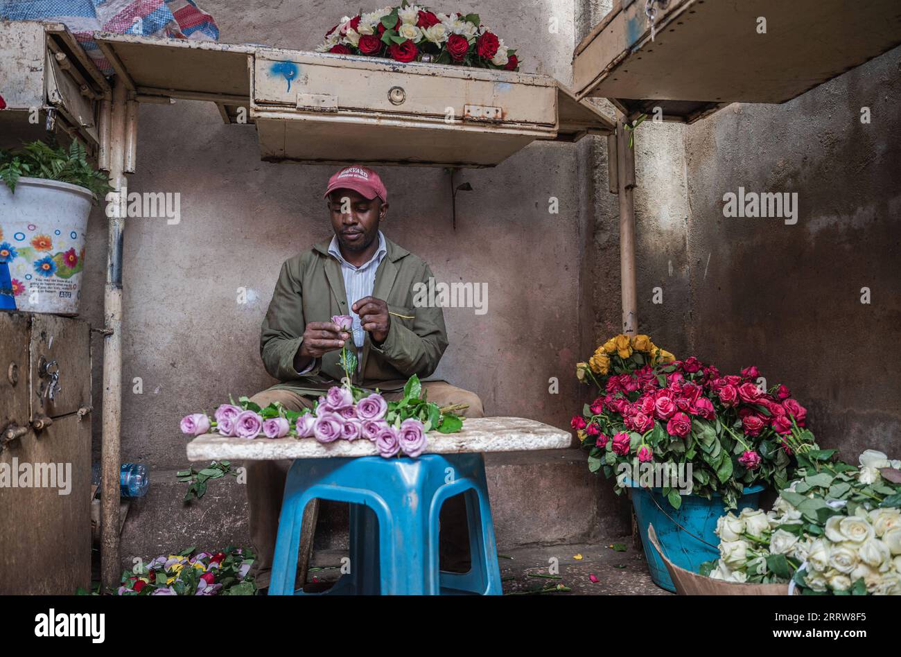 230720 -- NAIROBI, le 20 juillet 2023 -- Un vendeur coupe des fleurs qui seront vendues à un marché de Nairobi, au Kenya, le 10 juillet 2023. La Chine a occupé la position de premier partenaire commercial de l Afrique pendant 14 années consécutives. En cours de route, la Chine et l’Afrique font progresser de concert le développement dans le cadre de l’Initiative « la ceinture et la route », ouvrant ainsi de nouvelles voies de coopération. Ces dernières années, l’exportation de fleurs kenyanes vers la Chine a connu une tendance constante à la hausse, propulsée par des facteurs tels que l’établissement de vols directs entre la Chine et l’Afrique et l’optimisation des procédures douanières. CHINE-AFRIQUE-C Banque D'Images