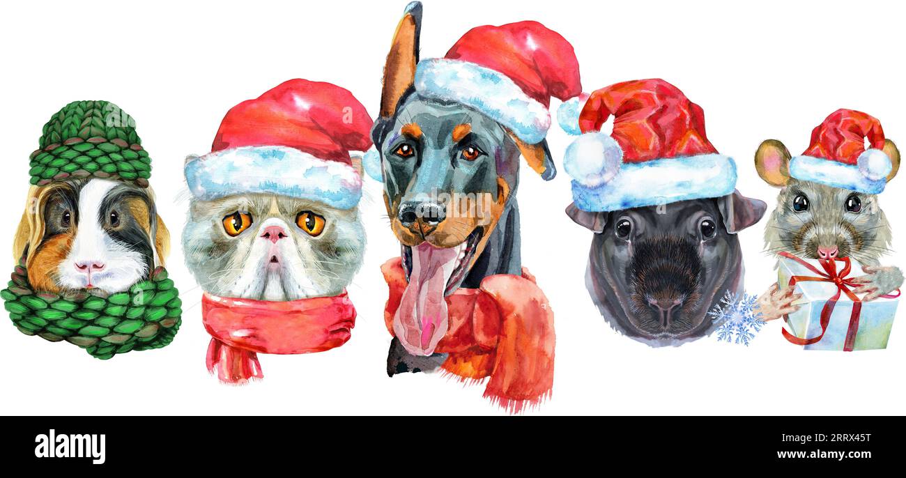 Bordure pour animaux de compagnie. Dessin aquarelle peint à la main, isoler clip art sur fond blanc. Conception de bannière Banque D'Images