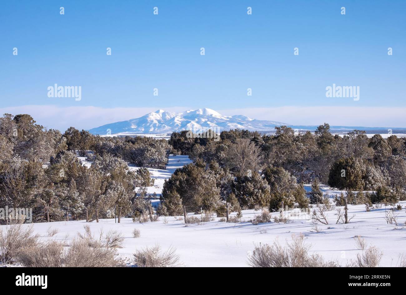Soleil et neige dans les montagnes de la Sal le long de la frontière entre l'Utah et le Colorado Banque D'Images