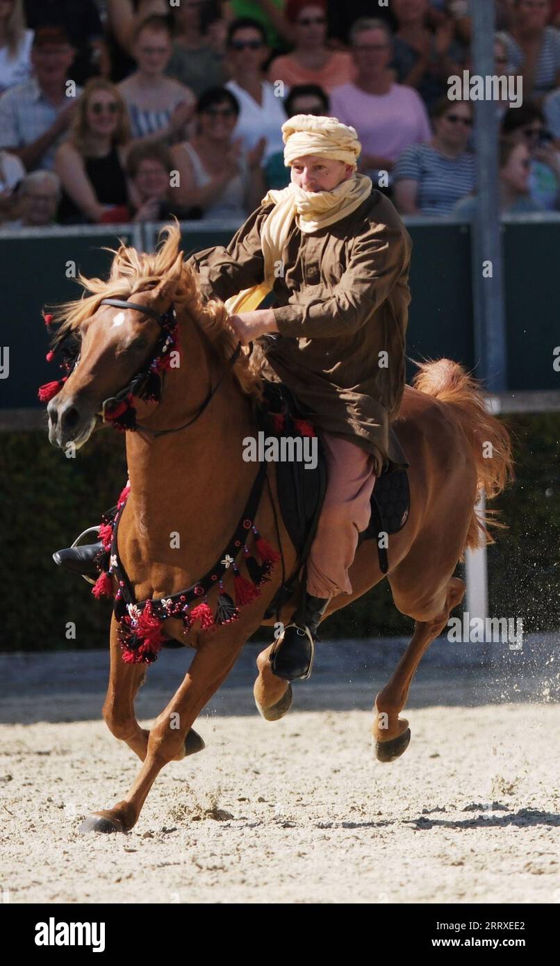Moritzburg, Allemagne. 09 septembre 2023. Un artiste en costume bédouin présente un étalon au Moritzburg State Stud Là ont commencé les défilés traditionnels d'étalons, qui seront encore montrés les 17 et 23.09.2023. Crédit : Sebastian Willnow/dpa/Alamy Live News Banque D'Images