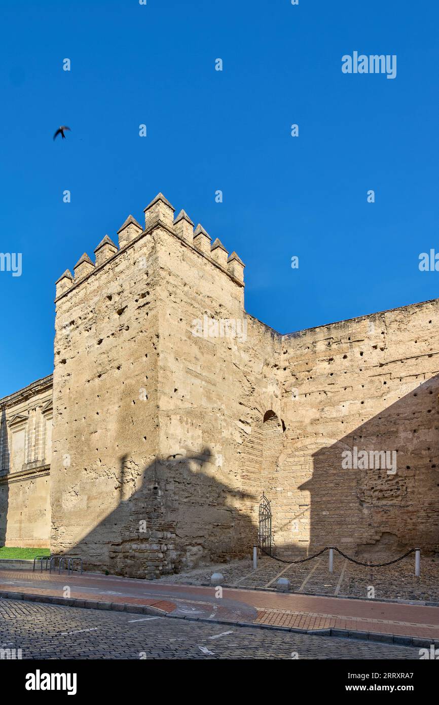 Vue de la forteresse Alcazar de Jerez du 11e siècle d'origine islamique dans la ville de Jerez de la Frontera, Costa de la Luz, province de Cadix, A Banque D'Images