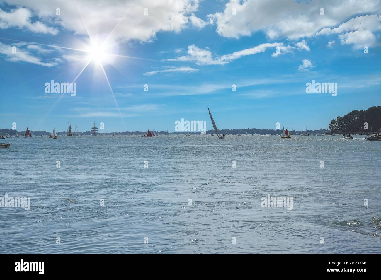 Vieux voiliers à l'Ile-aux-Moines, magnifique paysage marin dans le golfe du Morbihan, Bretagne Banque D'Images