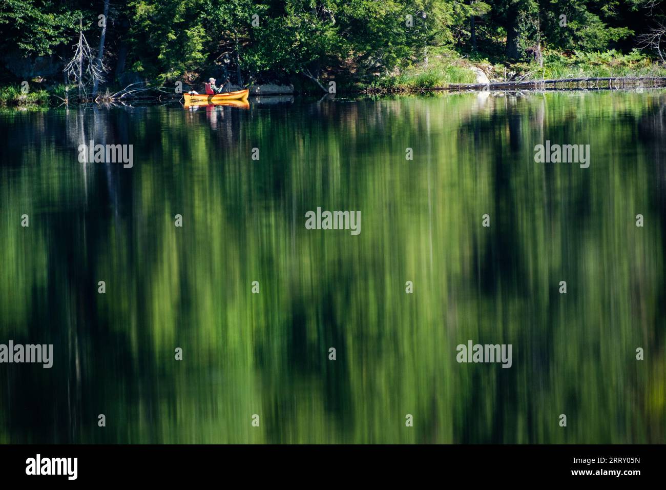 Canoë dans les montagnes Adirondack de l'État de New York, États-Unis, Essex Chain Lakes près de Newcomb, NY, États-Unis. Banque D'Images
