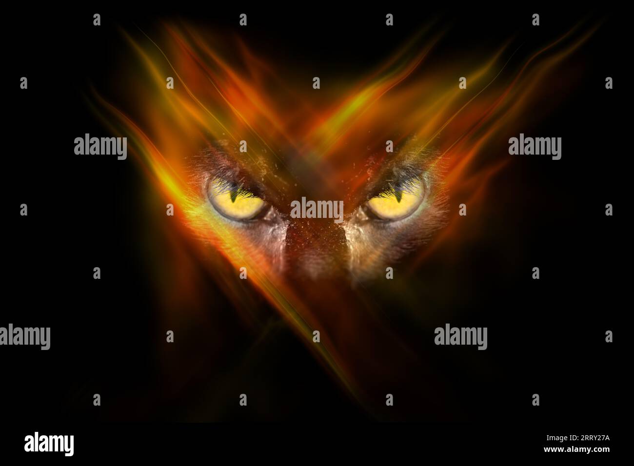 Des yeux d'animaux maléfiques vous regardant depuis l'obscurité avec des motifs enflammés sur le visage et le slogan Hunter Banque D'Images