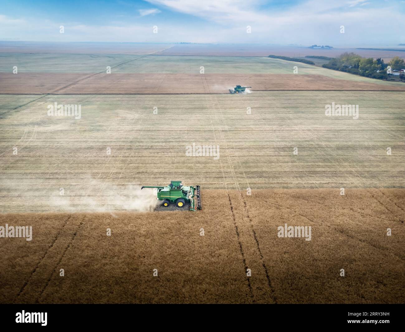Comté de Rocky View Alberta Canada, septembre 03 2023 : paire aérienne de moissonneuses-batteuses John Deere récoltant un champ de blé avec des traînées de poussière sur le Prai canadien Banque D'Images