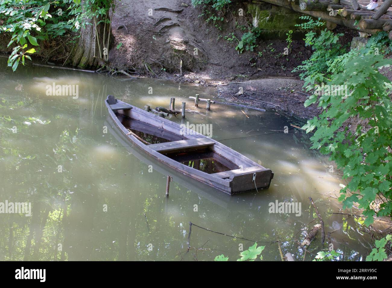 bateau en bois dans la forêt dans un étang pollué Banque D'Images