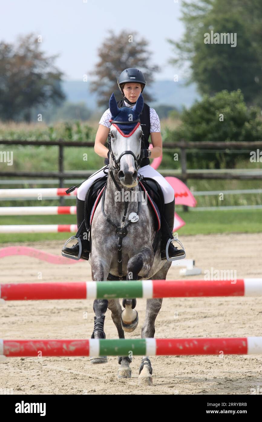 chevaux sautant en allemagne Banque D'Images