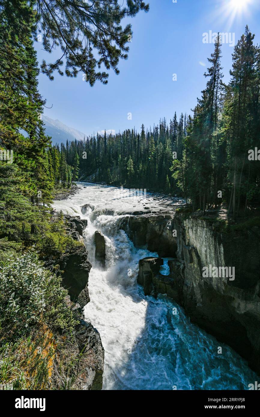 Les chutes Sunwapta, Jasper National Park, Alberta, Canada Banque D'Images