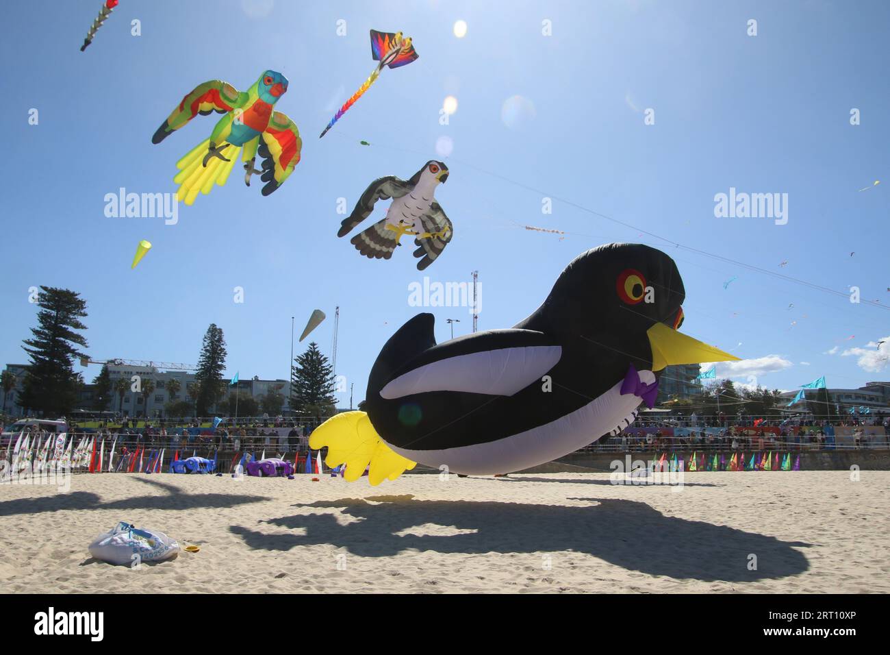 Sydney, Australie. 10 septembre 2023. Festival of the Winds à Bondi Beach, l'un des plus grands festivals de cerf-volant au monde. Crédit : Richard Milnes/Alamy Live News Banque D'Images