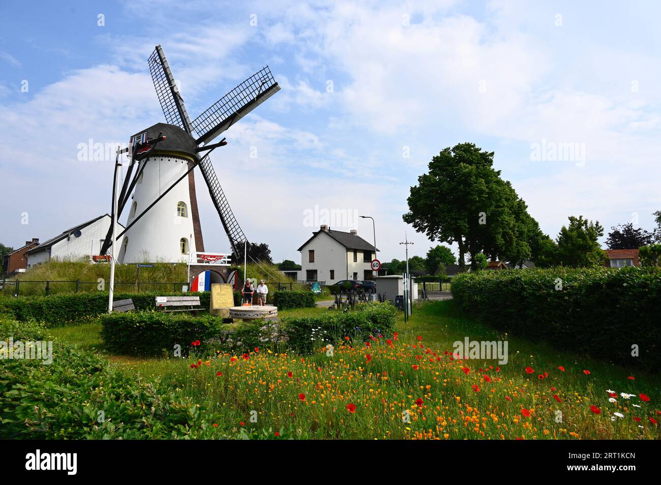 Le Sint Annamolen, un moulin à ceinture blanche sur le bord sud de Weert. De l'autre côté se trouve une aire de pique-nique pour les récréatifs Banque D'Images