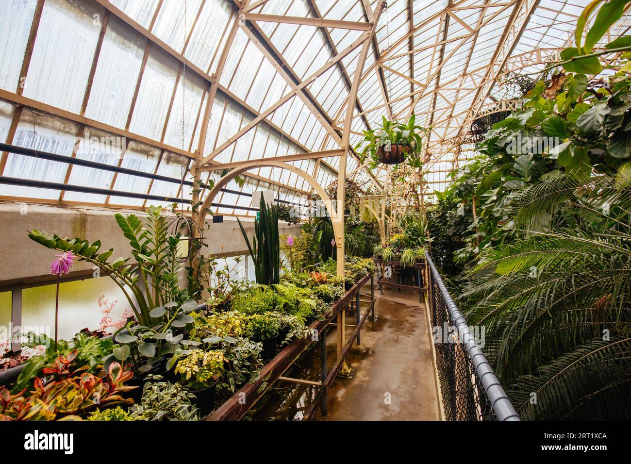 Le Conservatoire historique des jardins botaniques de Christchurch en Nouvelle-Zélande Banque D'Images