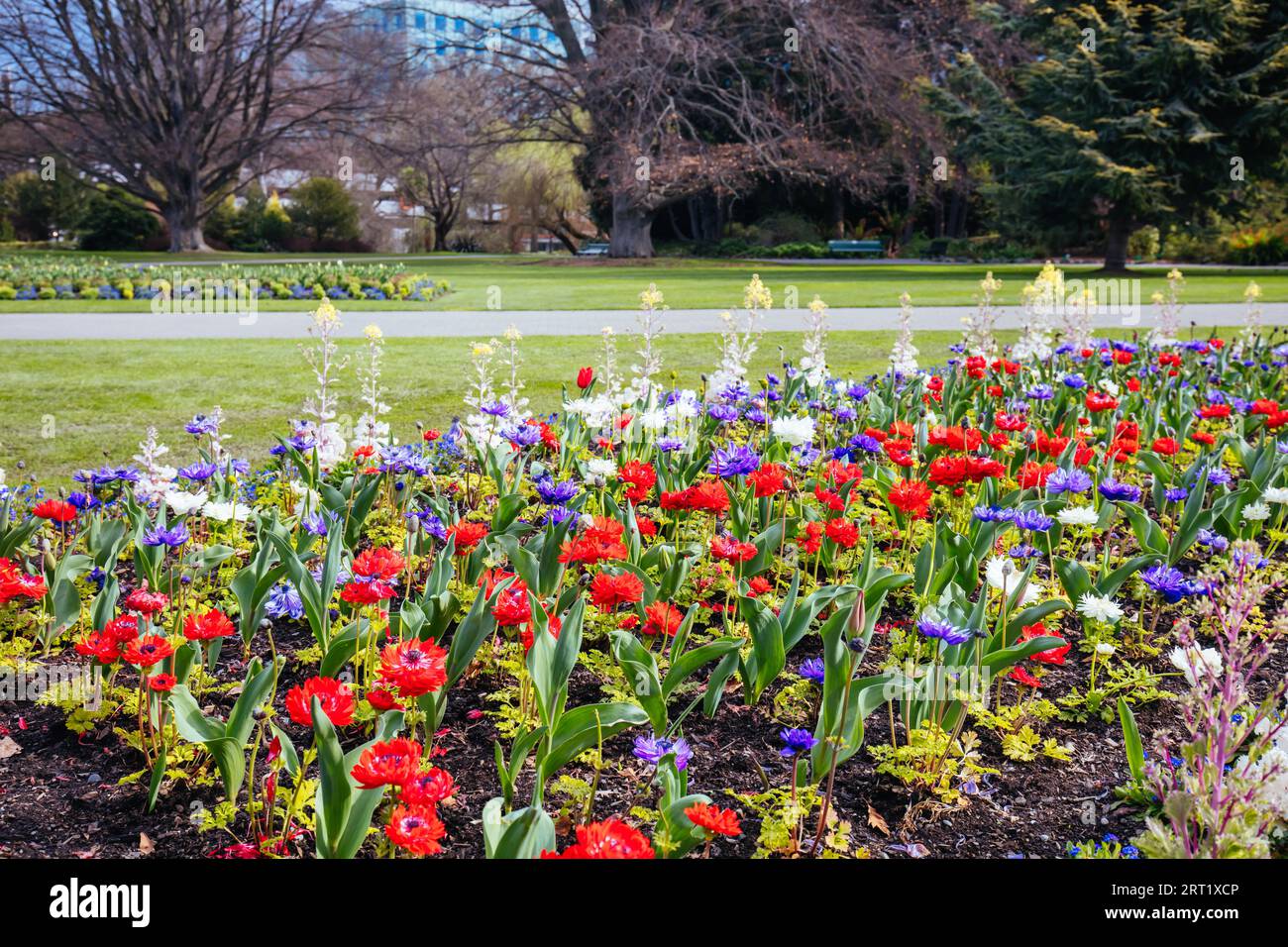 L'attraction populaire des jardins botaniques de Christchurch lors d'une chaude journée de printemps en Nouvelle-Zélande Banque D'Images