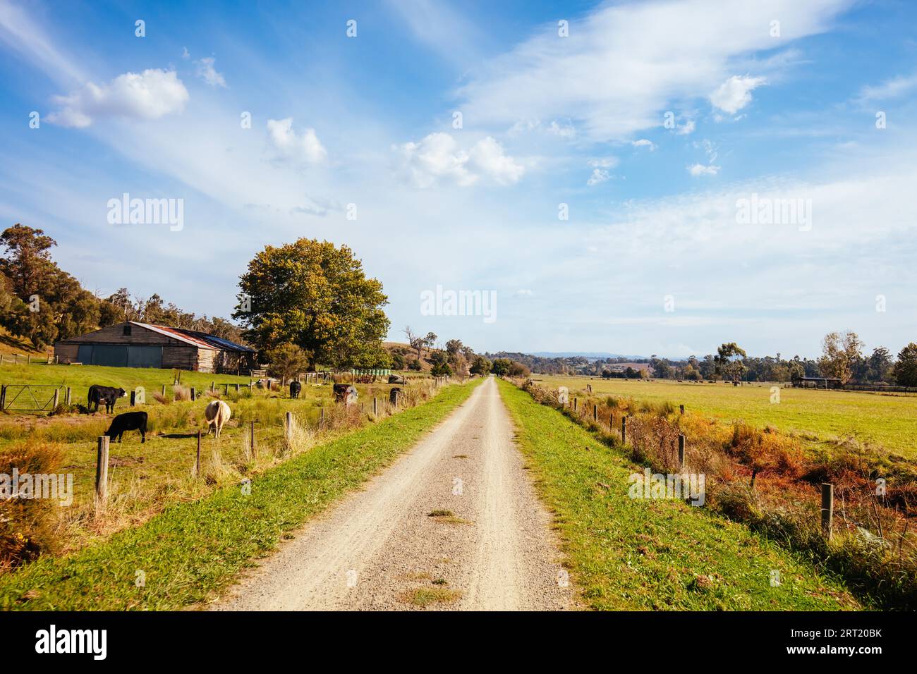 Le populaire chemin de fer de Lilydale à Warburton et le paysage rural autour de la place de lancement par une chaude journée d'automne à Victoria, Australie Banque D'Images
