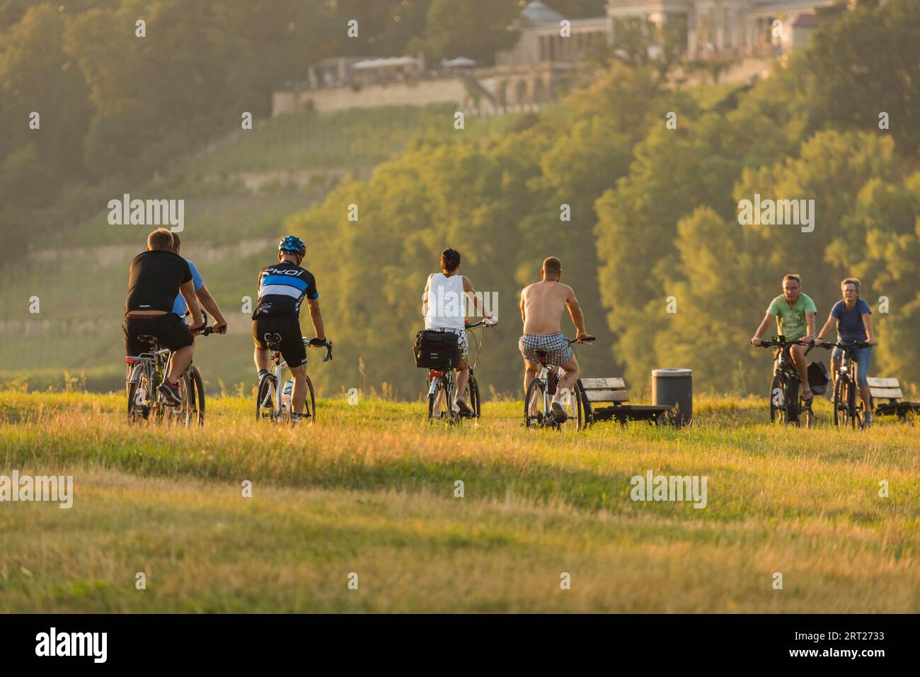 Cyclistes sur la piste cyclable de l'Elbe dans la lumière du soir en face du château d'Albrechtsberg Banque D'Images