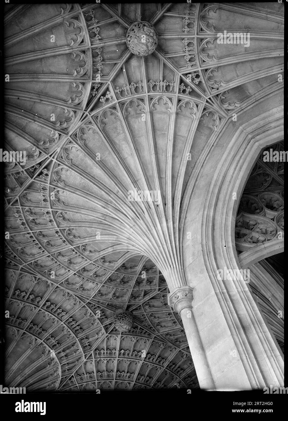 Cathédrale de Peterborough, Peterborough, 1950-1960. Détail regardant quelques-unes des voûtes décoratives en éventail de l'église cathédrale. Banque D'Images